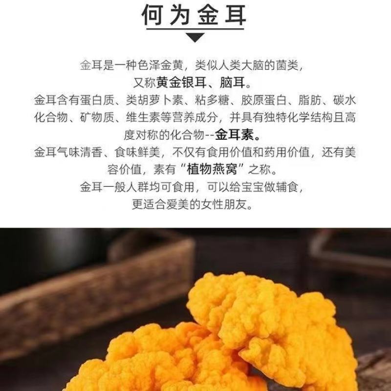 食用菌新鲜金耳菌