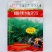 南马德佳油999油菜种子高产高油矮杆抗病抗倒伏甘蓝型油菜