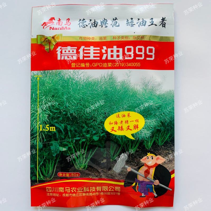 南马德佳油999油菜种子高产高油矮杆抗病抗倒伏甘蓝型油菜