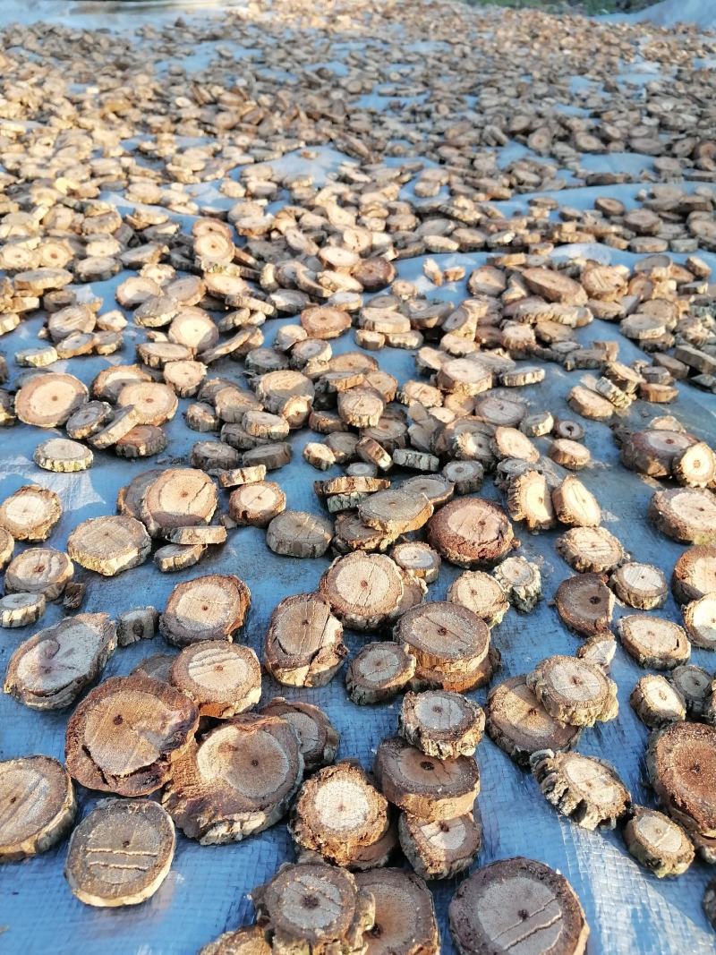 海风藤广东本土海风藤干货（干货干货干货干货）