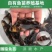 优质胭脂名贵鱼淡水鱼苗大口胭脂活体淡水活体