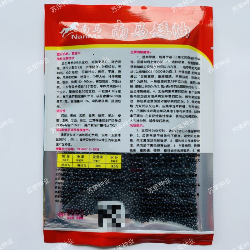南马矮油油菜种子高产高油抗病抗倒伏农家大田秋季播耐寒油菜