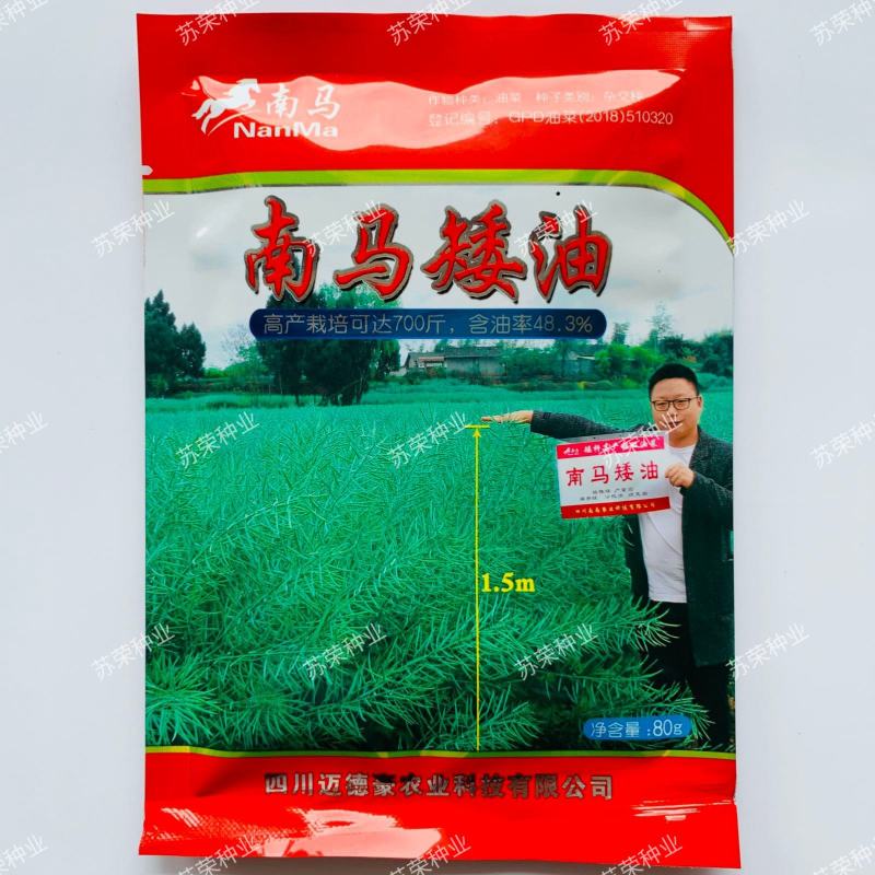 南马矮油油菜种子高产高油抗病抗倒伏农家大田秋季播耐寒油菜