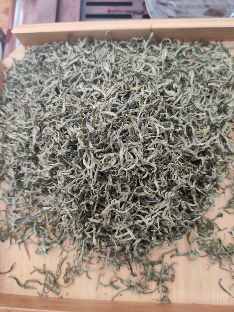 湖南省保靖黄金茶