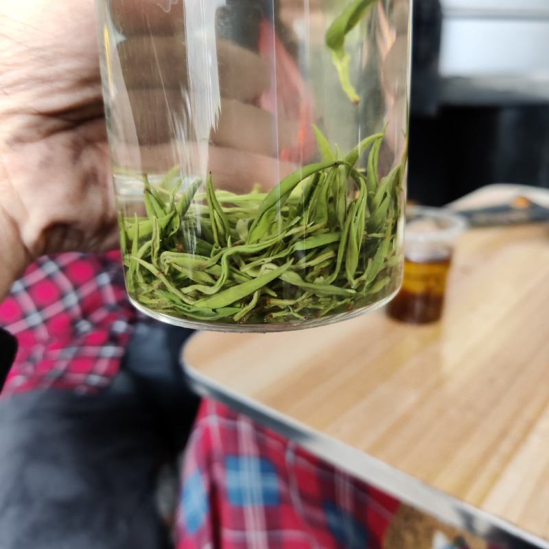 湖南省保靖黄金茶