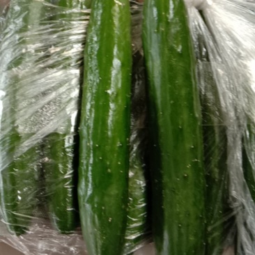 鲜花油皮小黄瓜！
