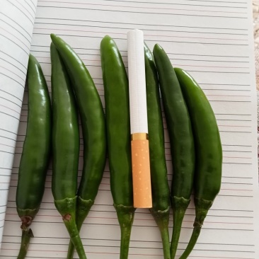 青辣椒