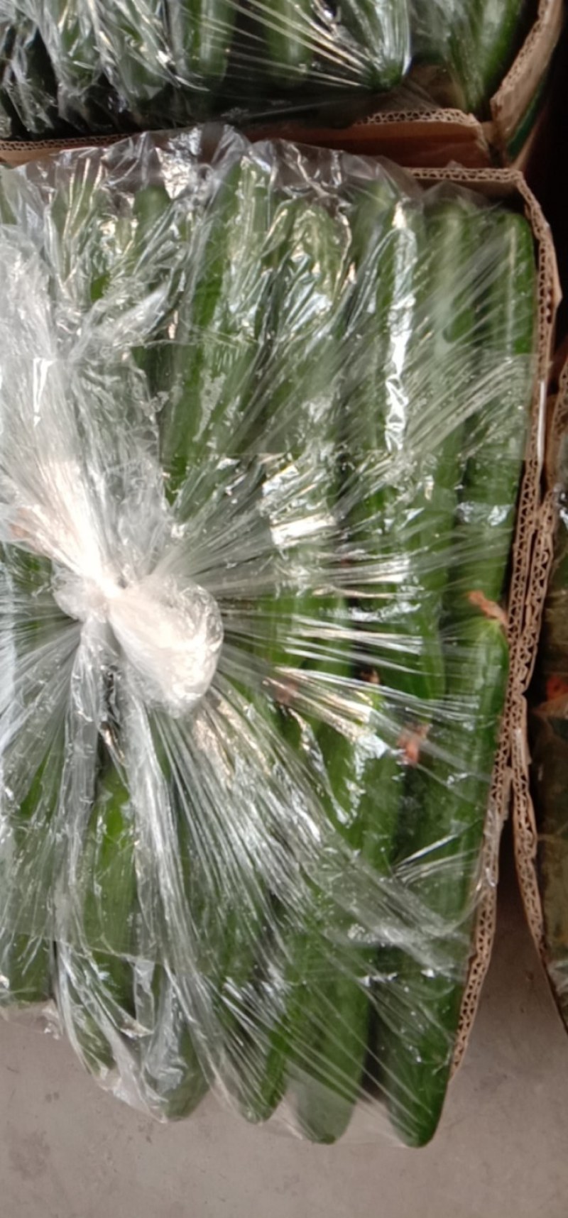 鲜花油皮小黄瓜！
