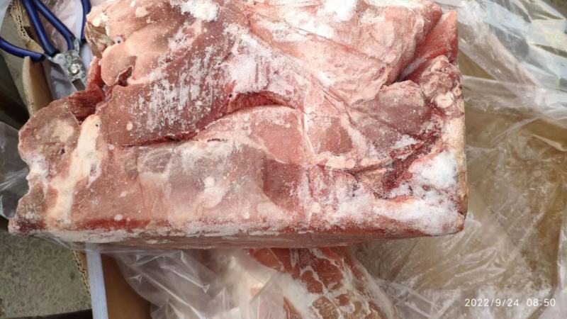 前驳25kg775一件，新鲜，性价比挺高的