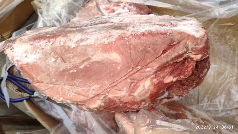 前驳25kg775一件，新鲜，性价比挺高的