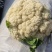 花菜有机花菜白面青梗散花小米粒货源充足代收代发