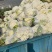 花菜有机花菜白面青梗散花小米粒货源充足代收代发