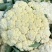 花菜有机花菜白面青梗散花小米粒货源充足代收代发