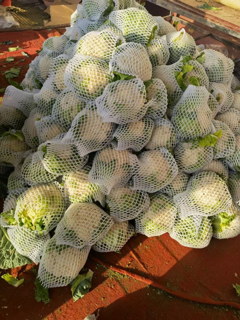 花菜有机花菜白面青梗散花小米粒货源充足代收代发