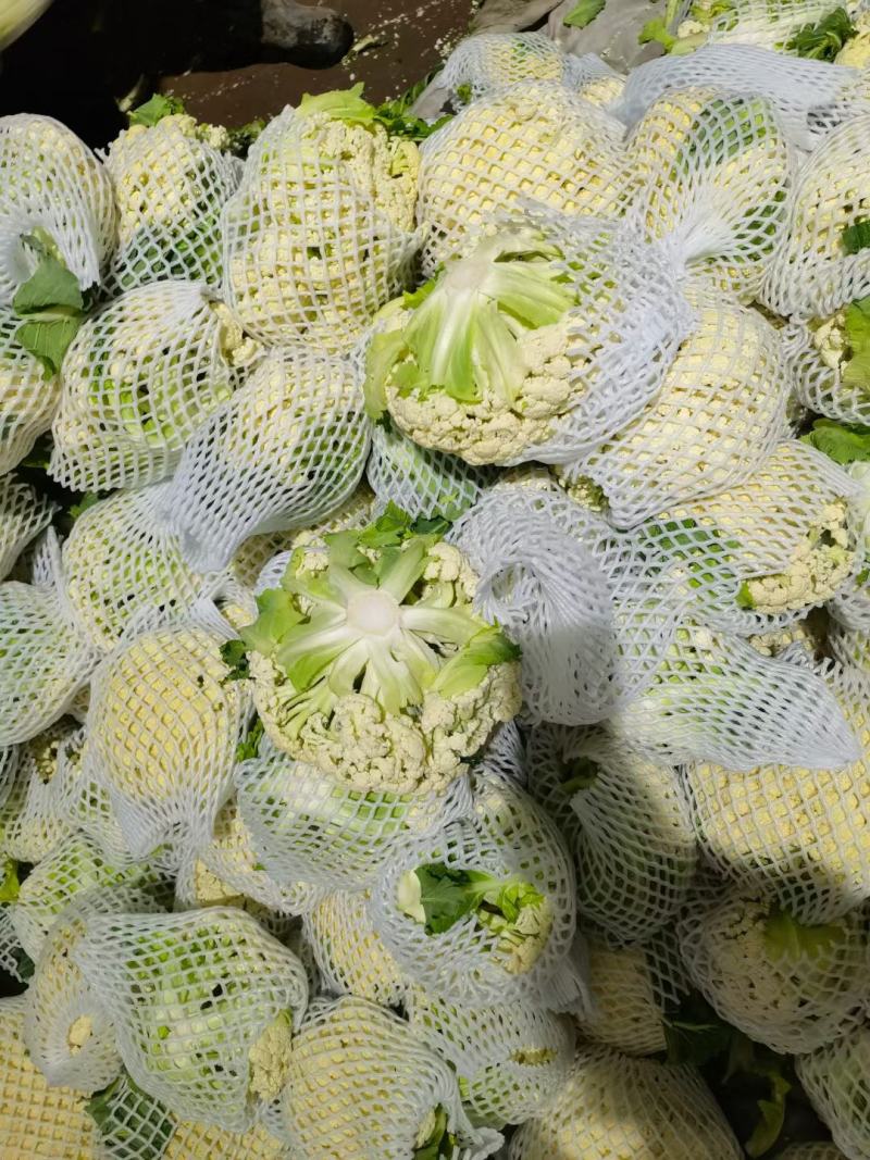花菜有机花菜白面青梗散花小米粒货源充足代收代发