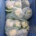 花菜有机花菜白面青梗散花小米粒货源充足代收代发