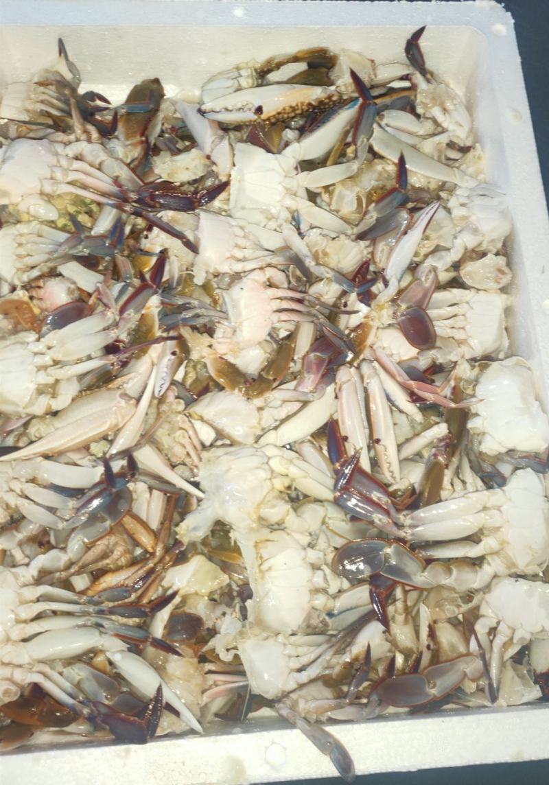 切蟹三点蟹切蟹泡沫箱装净重7斤