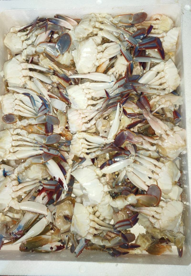 切蟹三点蟹切蟹泡沫箱装净重7斤