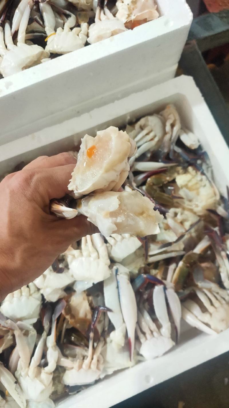 切蟹三点蟹切蟹泡沫箱装净重7斤