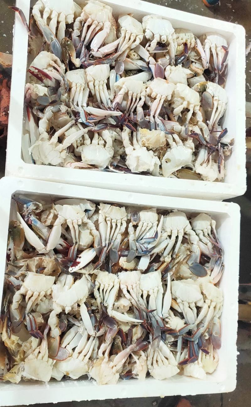 切蟹三点蟹切蟹泡沫箱装净重7斤