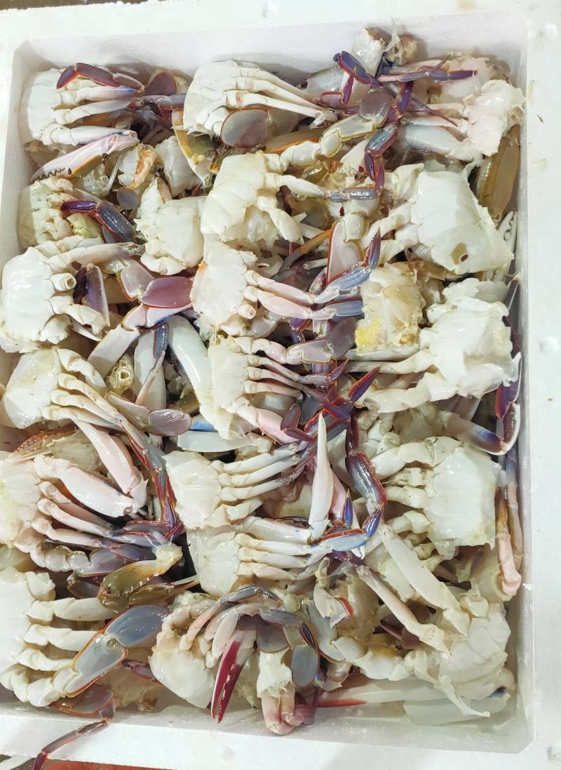 切蟹三点蟹切蟹泡沫箱装净重7斤