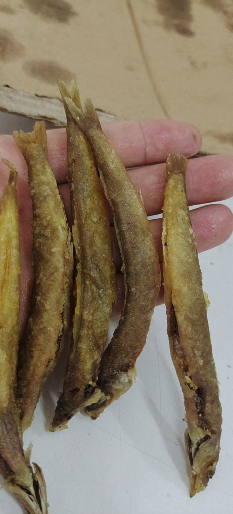 油炸泥鳅干泥鳅火锅泥鳅，凉菜卤菜原料