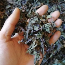 紫苏叶紫苏梗紫苏籽紫苏沫子足干农残达标