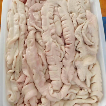 大肠