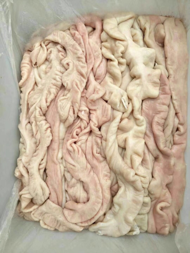大肠