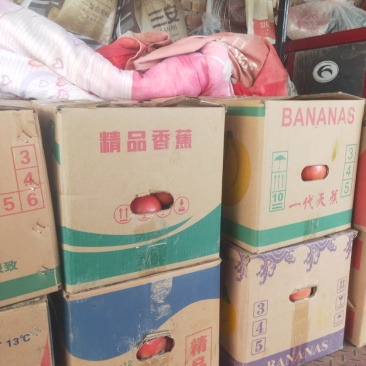 硬粉西红柿全国代发。