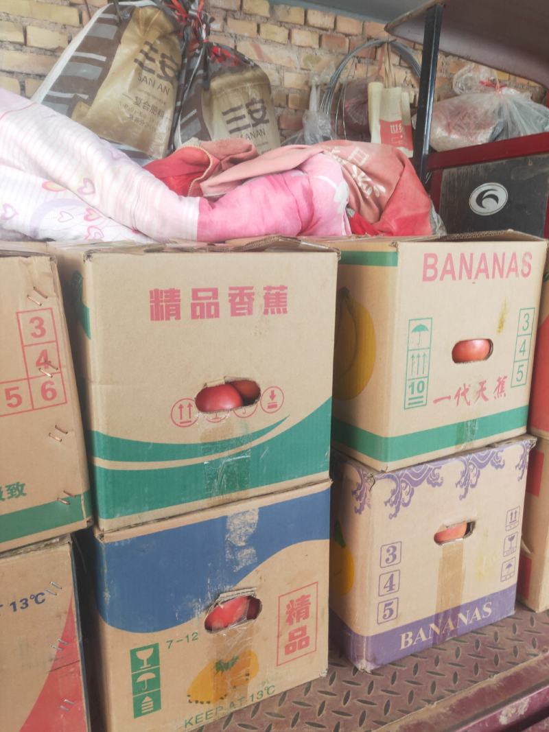 硬粉西红柿全国代发。