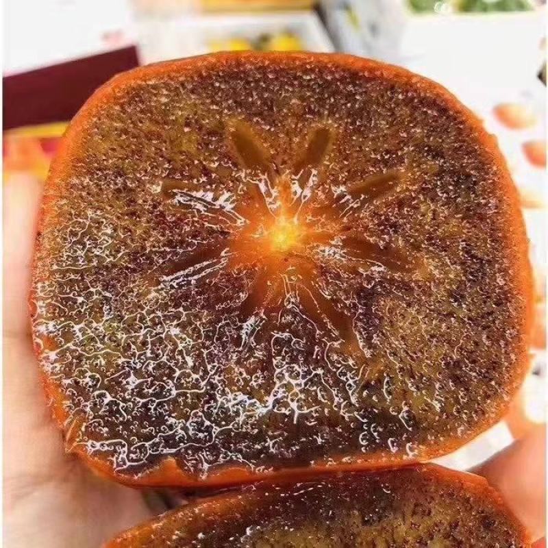 巧克力柿子树苗糖心脆柿果树苗种植地栽不用脱涩甜脆柿子苗