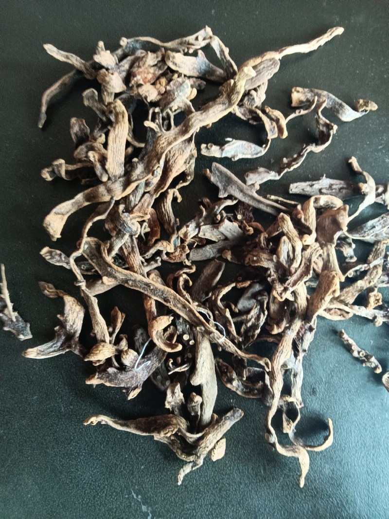 骨碎补