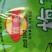 邵良梅菜扣肉（猪肉）