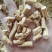 批发西洋参节500克花旗参泡水参丁段腿参节加拿大参种