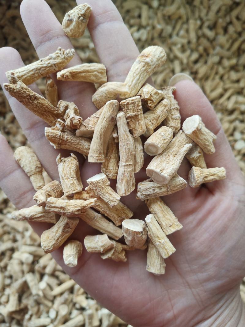 批发西洋参节500克花旗参泡水参丁段腿参节加拿大参种