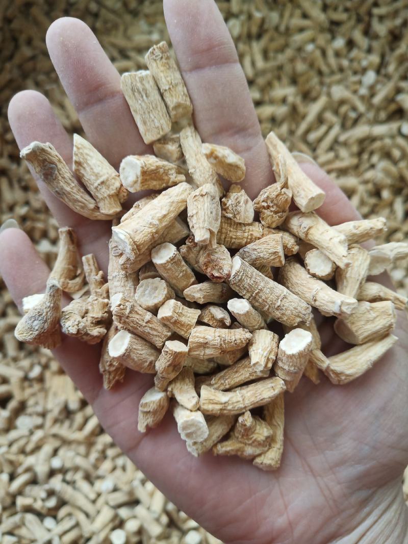 批发西洋参节500克花旗参泡水参丁段腿参节加拿大参种