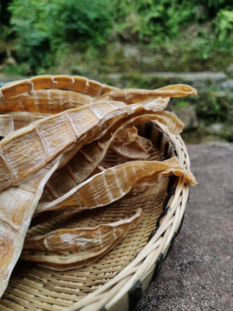 精品高山野生红毛楠竹笋笋干笋尖