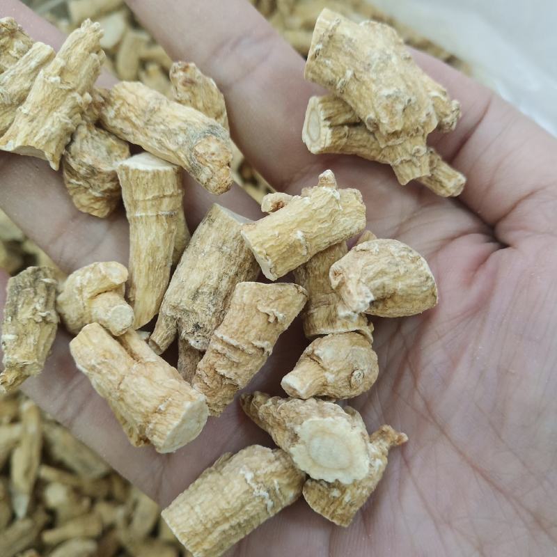 批发西洋参节500克花旗参泡水参丁段腿参节加拿大参种