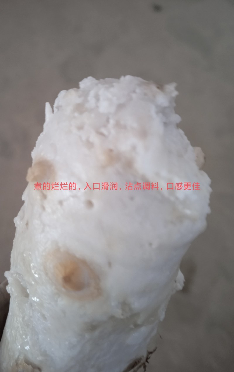 芋仔芋头江西农家自种自销农产品新鲜现挖现寄