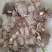 芋仔芋头江西农家自种自销农产品新鲜现挖现寄