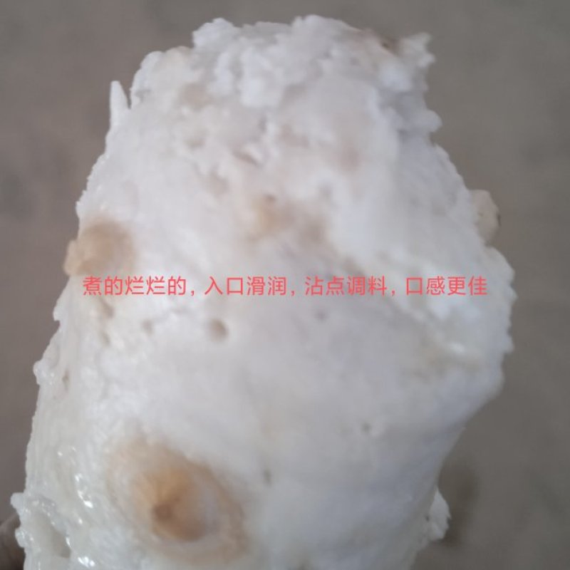 芋仔芋头江西农家自种自销农产品新鲜现挖现寄