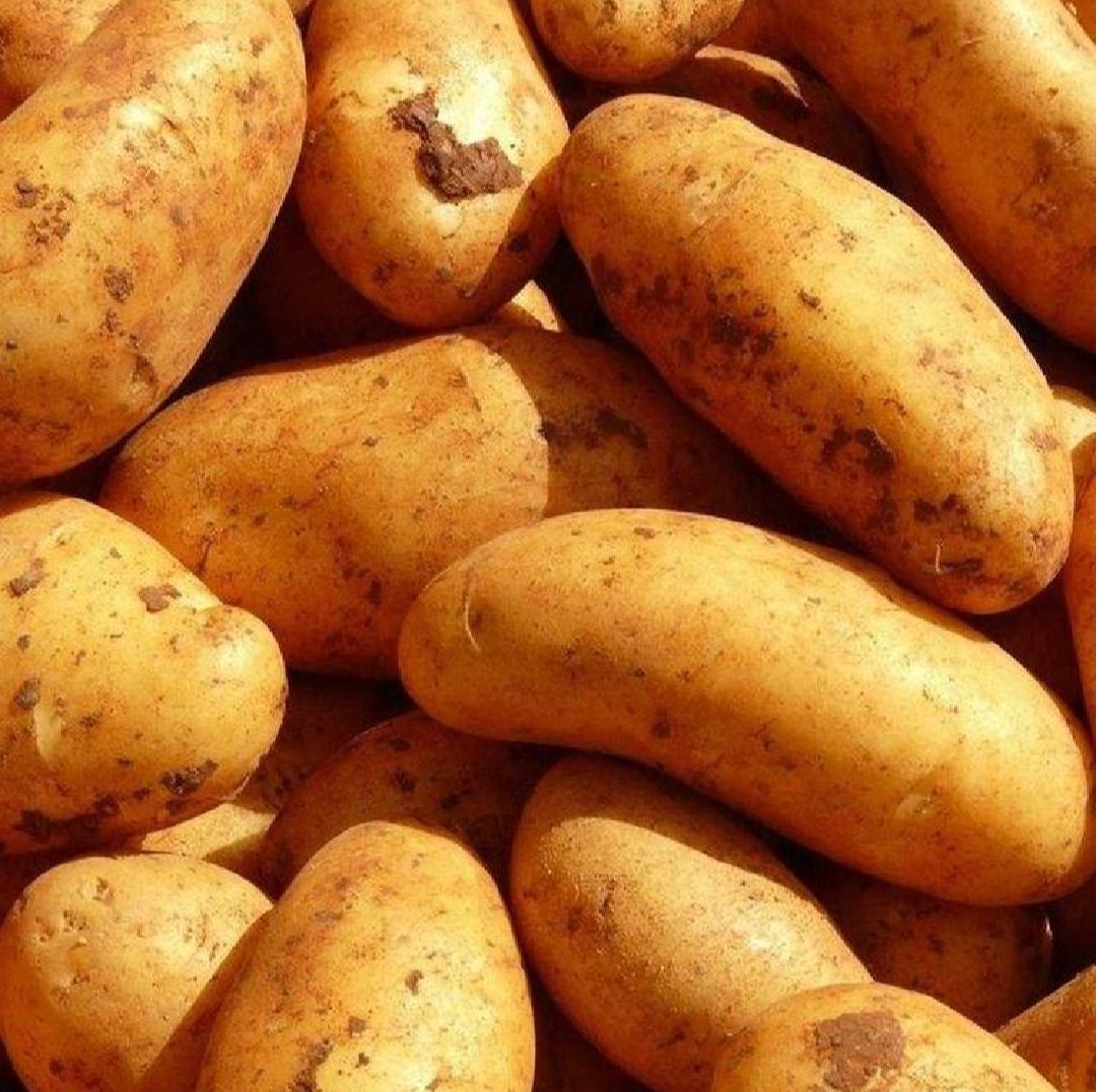 黄花菜与土豆的食材准备