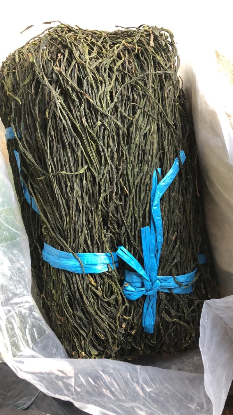 电商豆角，精品绿条，精品晒条，乱条，好中差豆角