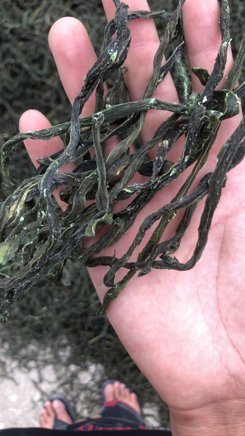 架豆干无添加精品一级二级现货