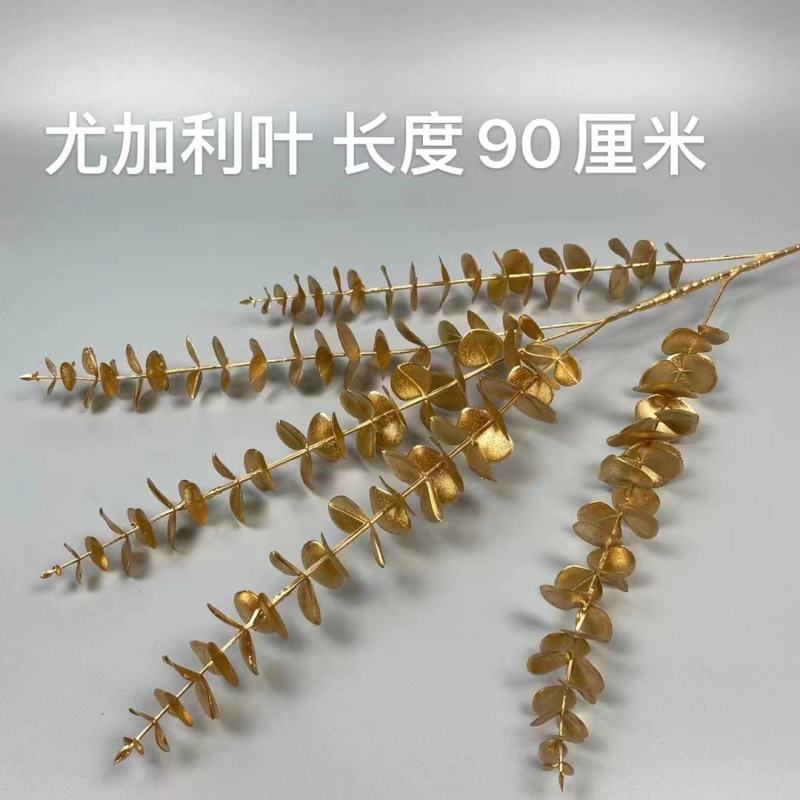 尤加利金叶子黄金大麦