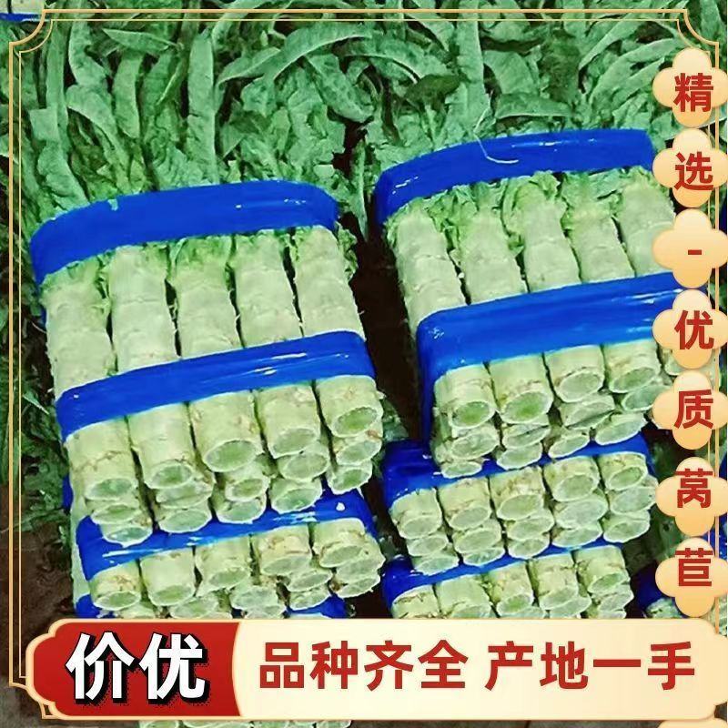 红叶莴笋福建永安红莴笋飞桥紫叶香莴笋