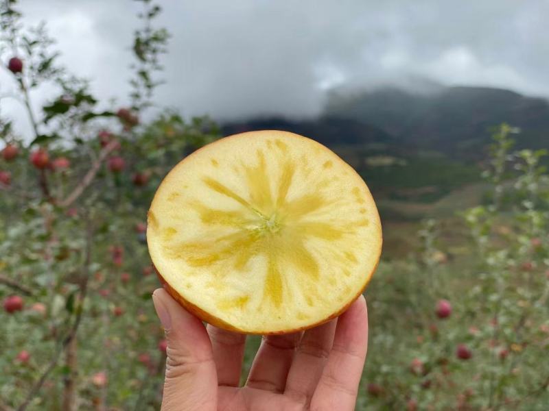 糖心丑苹果大量出货承接线上线下市场批发商超配送一件代发等