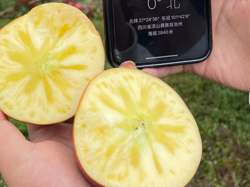 糖心丑苹果大量出货承接线上线下市场批发商超配送一件代发等