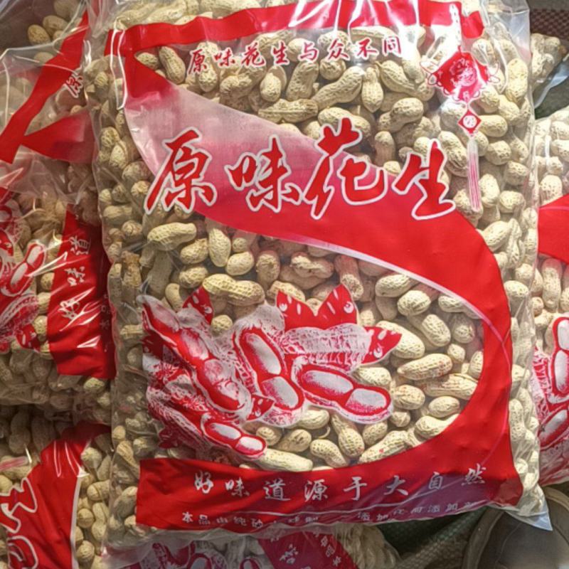2025新季熟花生原味炒花生厂家发货诚信经营